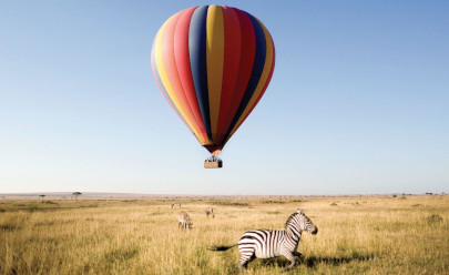  Сафари на воздушном шаре в ЮАР